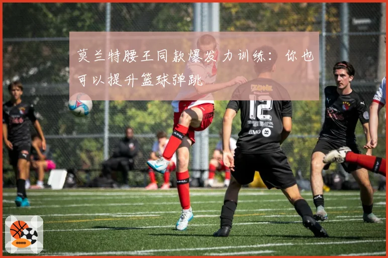 莫兰特腰王同款爆发力训练：你也可以提升篮球弹跳