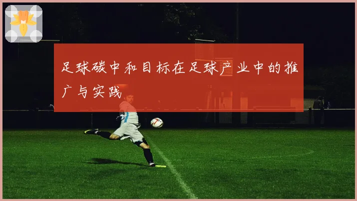 足球碳中和目标在足球产业中的推广与实践
