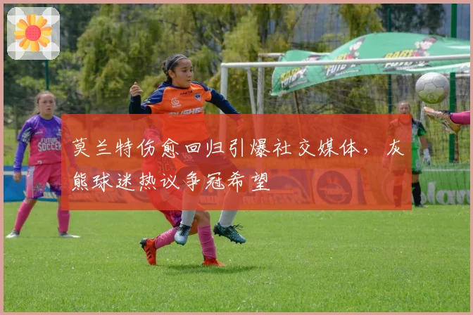 莫兰特伤愈回归引爆社交媒体,灰熊球迷热议争冠希望